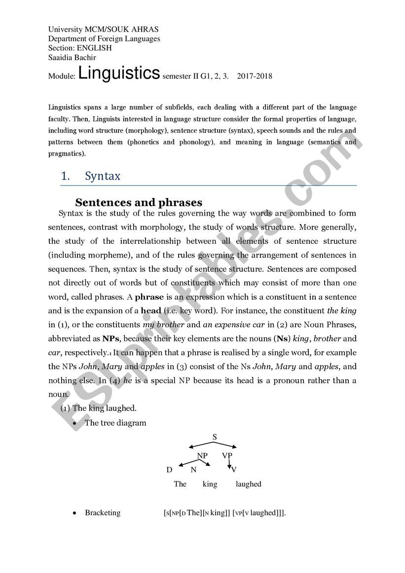 branches of linguistics lecture