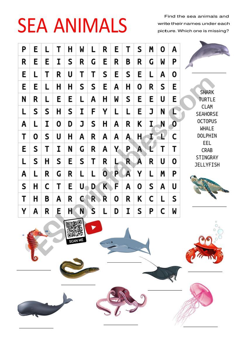 Sea Animals worksheet