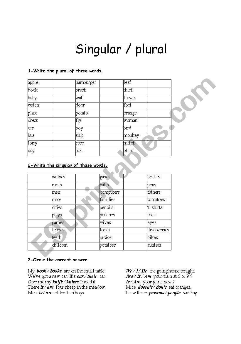 Singular / plural worksheet