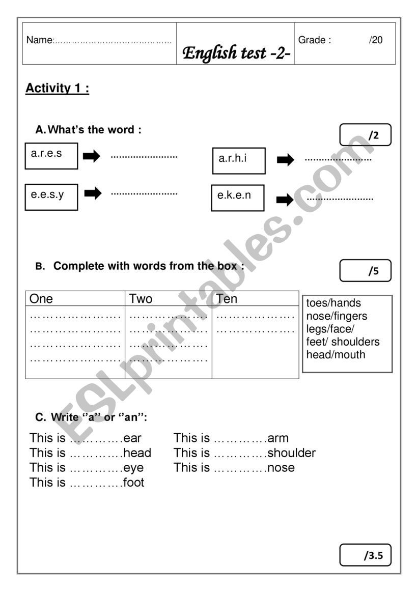 Test about body parts worksheet