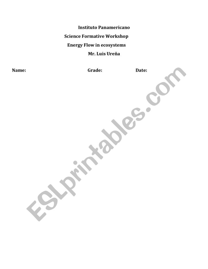 Energy Flow in Ecosystems worksheet