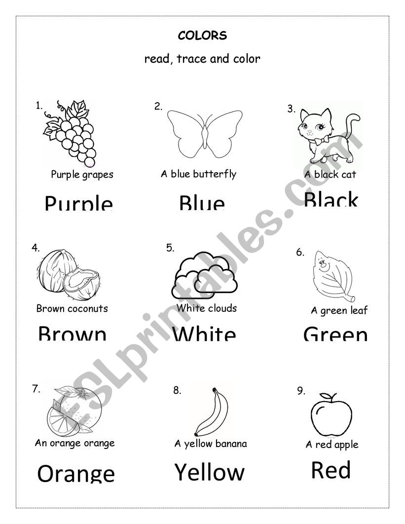 Colors worksheet worksheet