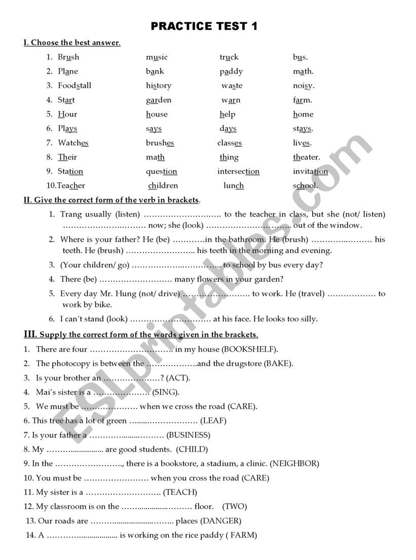 PRACTICE TEST worksheet