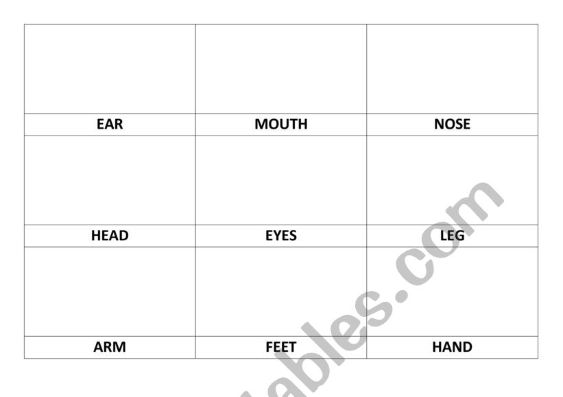 Body parts flashcards worksheet