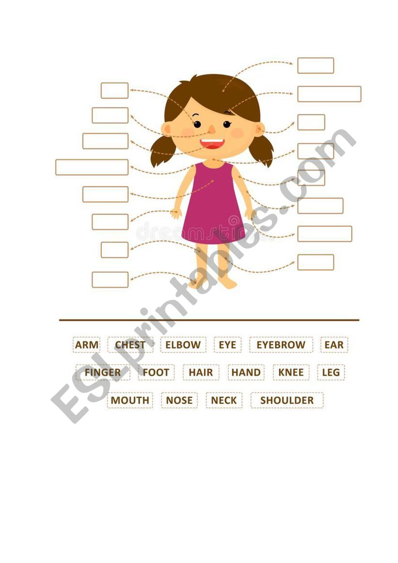 Parts of our body worksheet