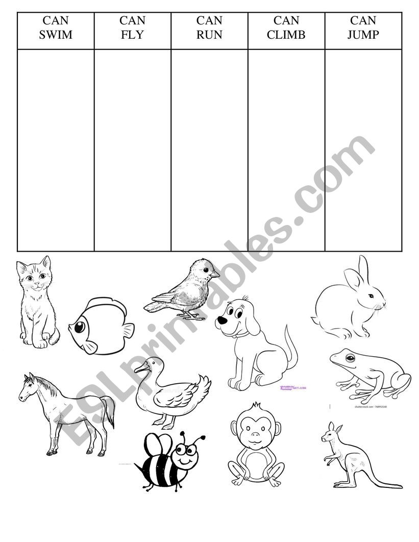 What can animals do? worksheet