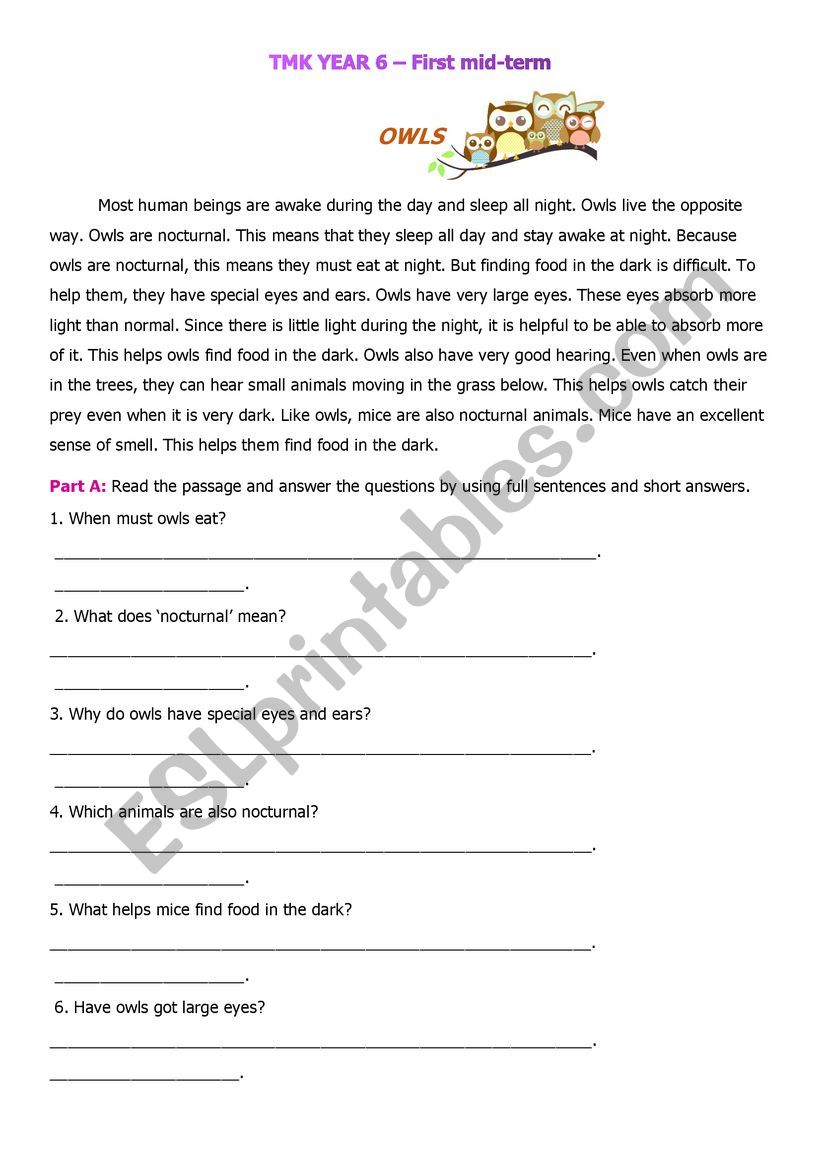 Mid-term revision year 6 worksheet