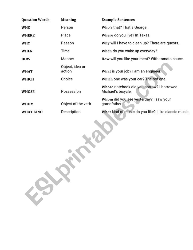 Question words worksheet