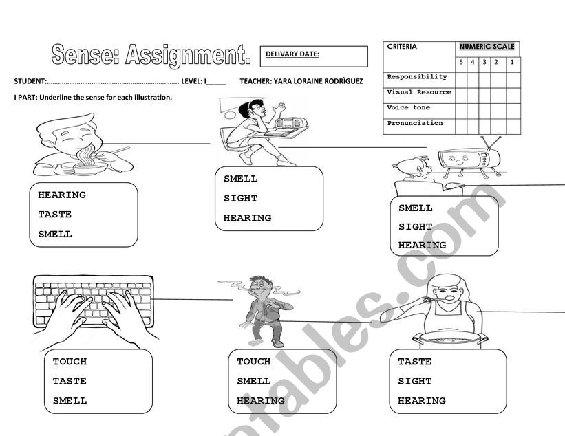 SENSE ASSIGNMENT  worksheet