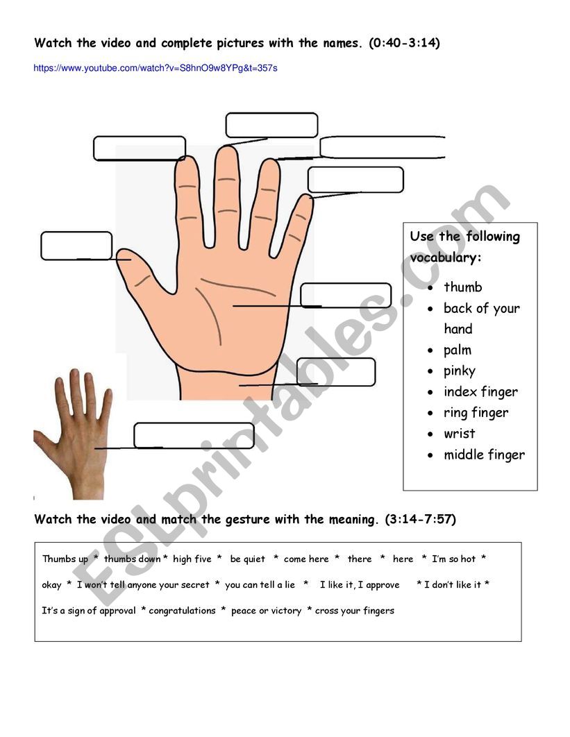 HAND GESTURES worksheet