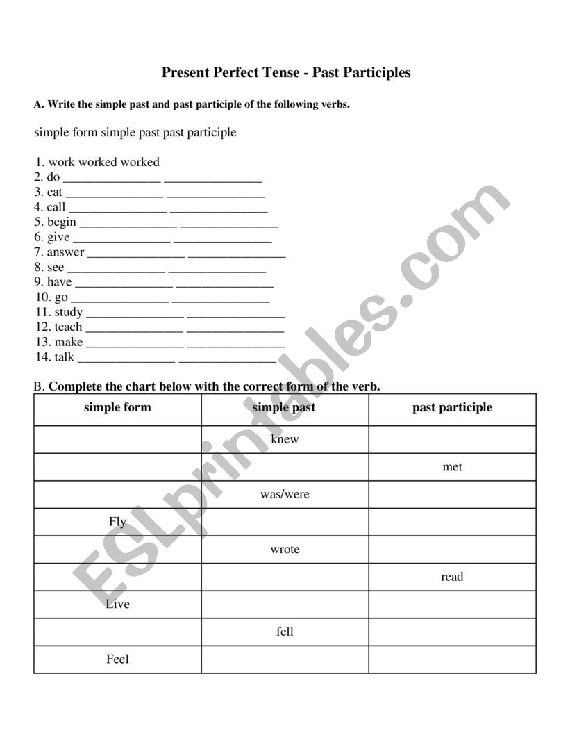 present perfect worksheet