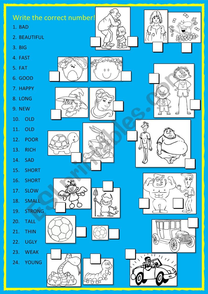 OPPOSITES worksheet