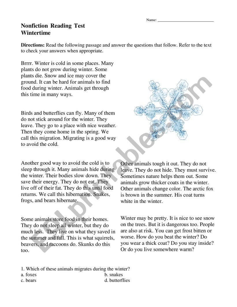 WINTER worksheet