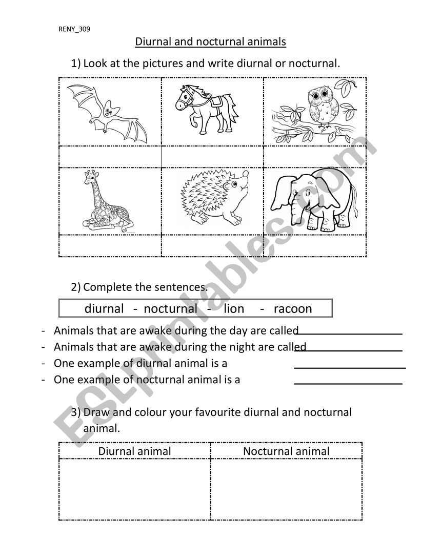 Diurnal worksheet