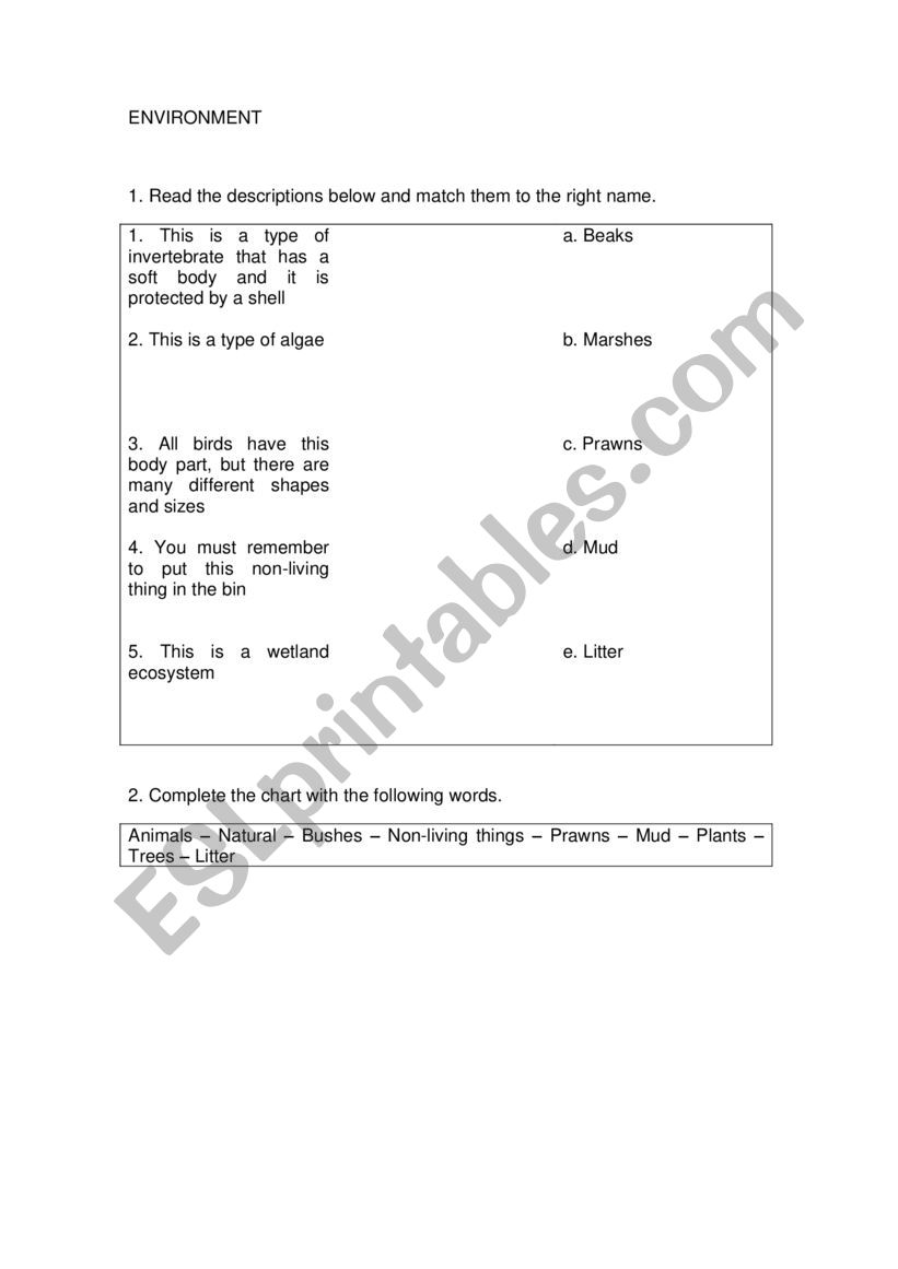 Invertebrates worksheet