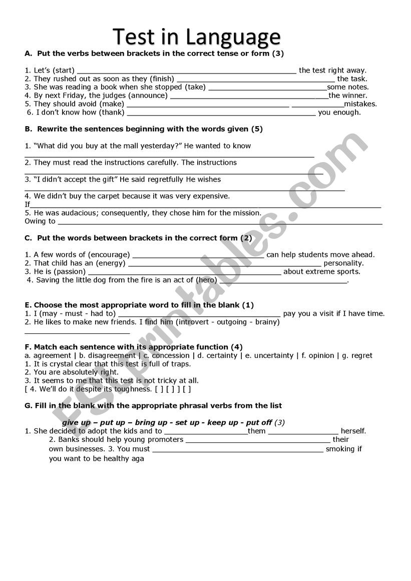 TEST IN LANGUAGE worksheet