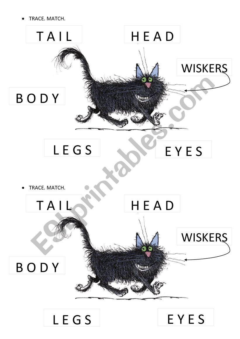 Wilbur parts of the body worksheet