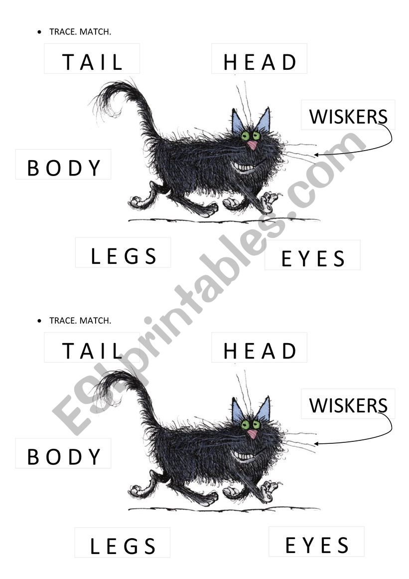 Wilbur parts of the body worksheet