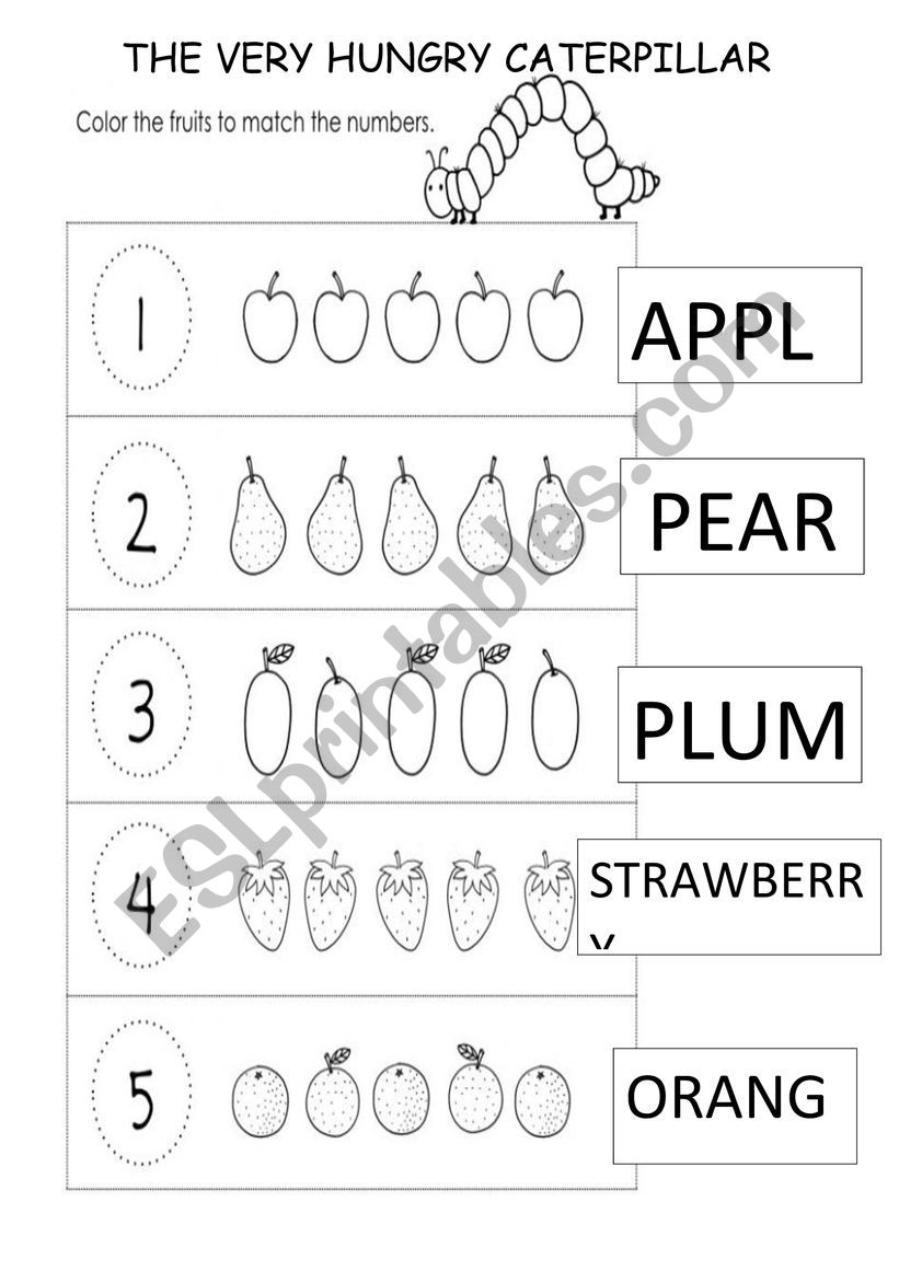 The very hungry caterpillar worksheet