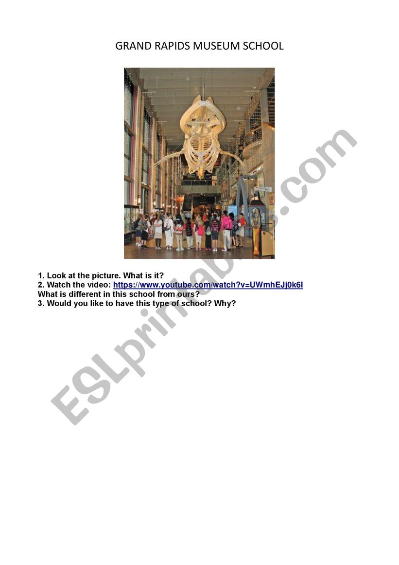 MUSEUM VISIT worksheet