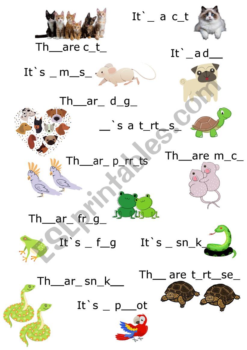 It is/They are-pets worksheet