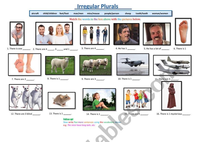 Irregular Plurals worksheet