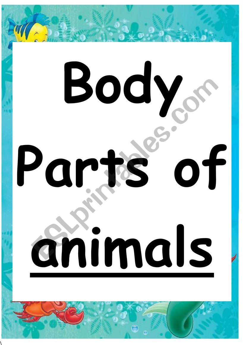 Body parts of animals worksheet
