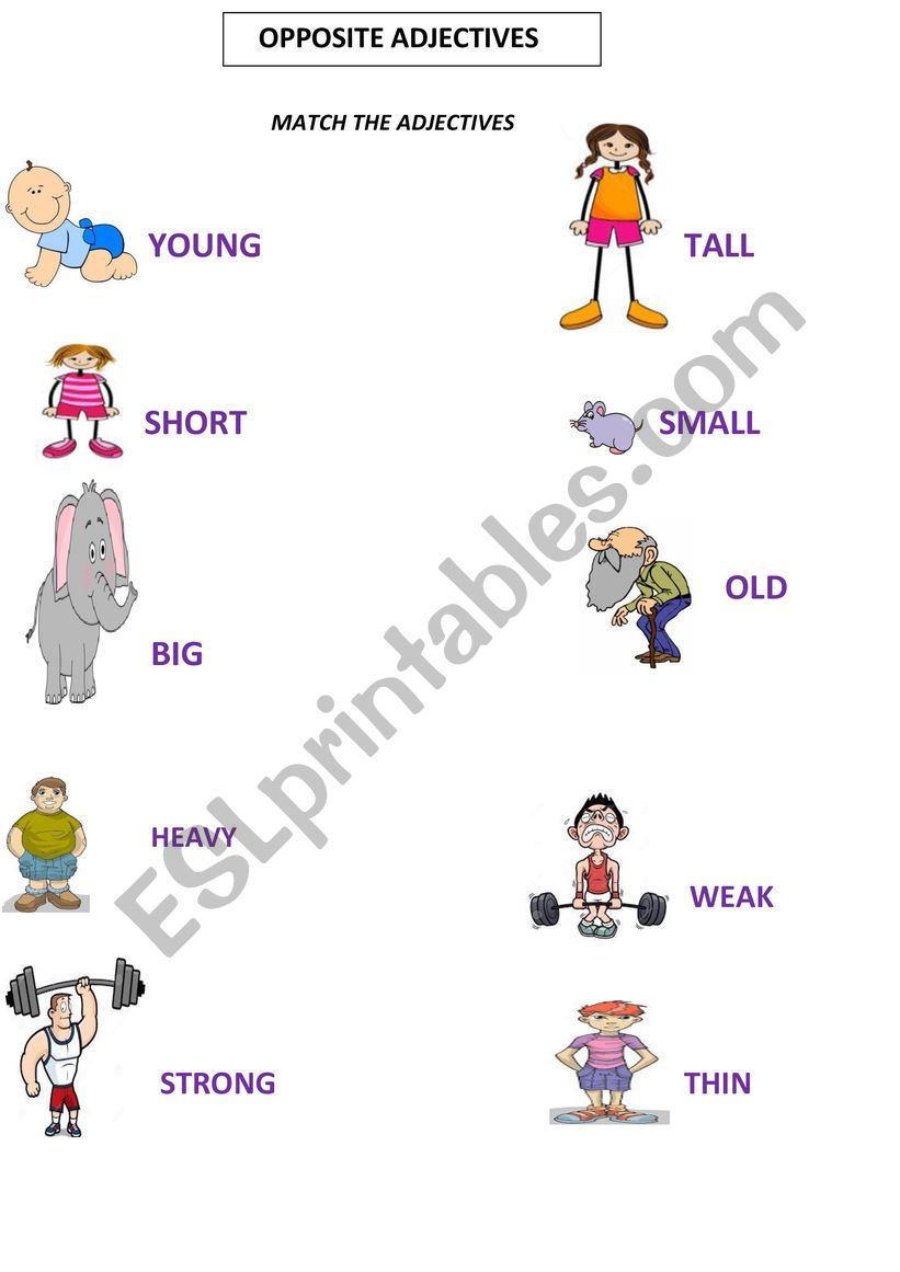 opposite adjectives worksheet