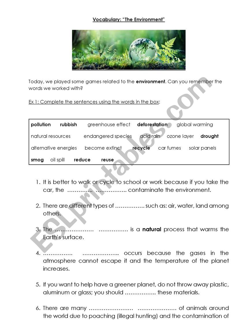 VOCABULARY ON THE ENVIRONMENT worksheet