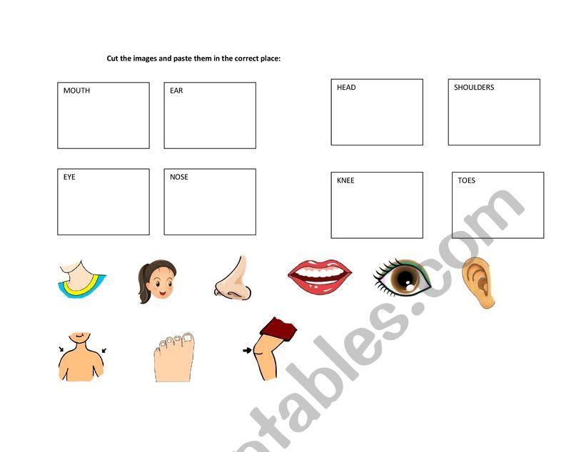 Body Parts worksheet