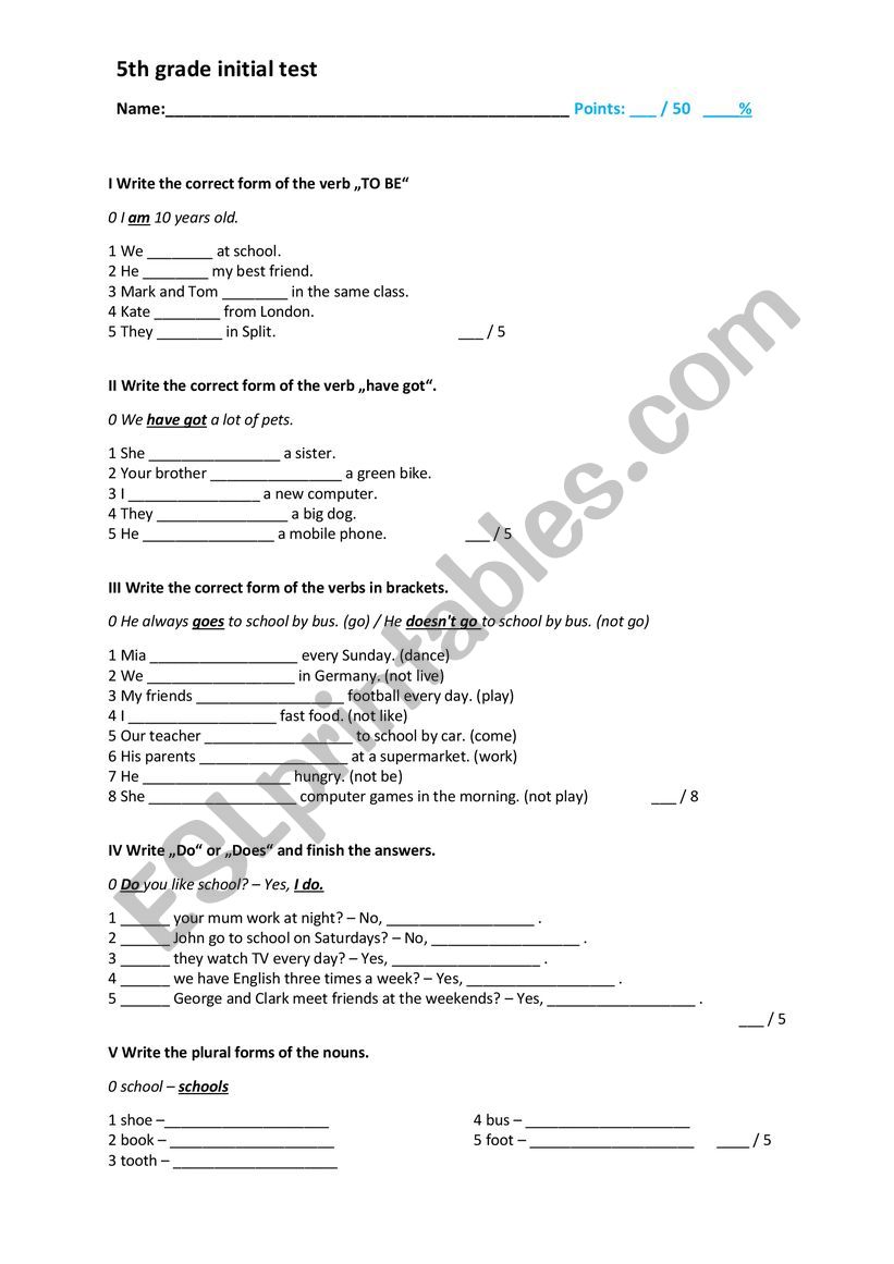 revision grade 5 worksheet