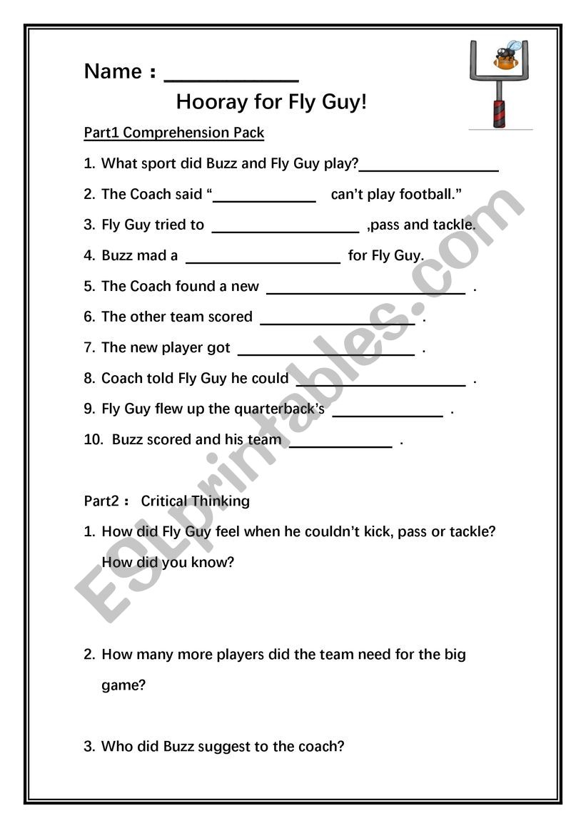 Hoory for Fly Guy worksheet