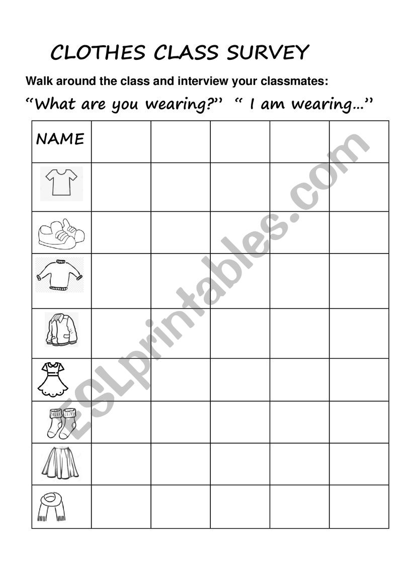 Clothes Survey worksheet