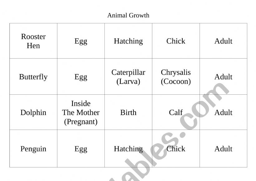 Animal Growth (Life cycle) worksheet