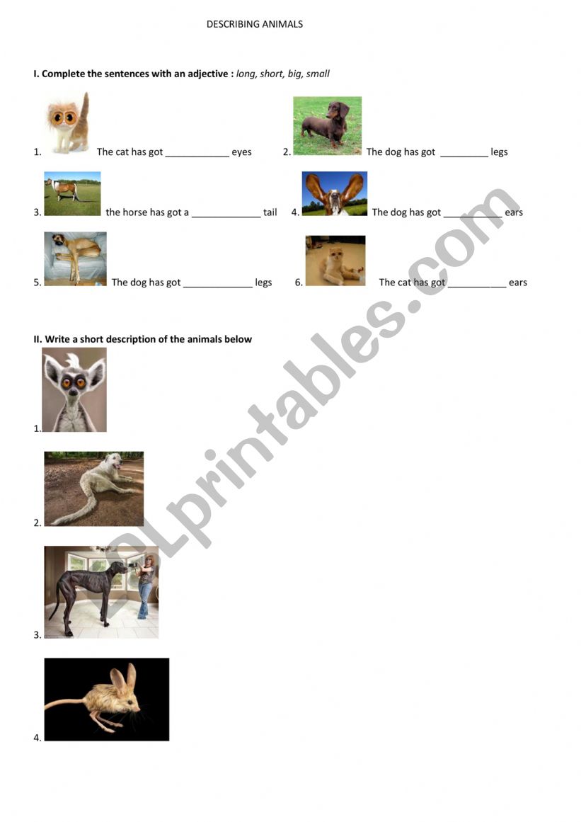 Describing animals ( adjectives )