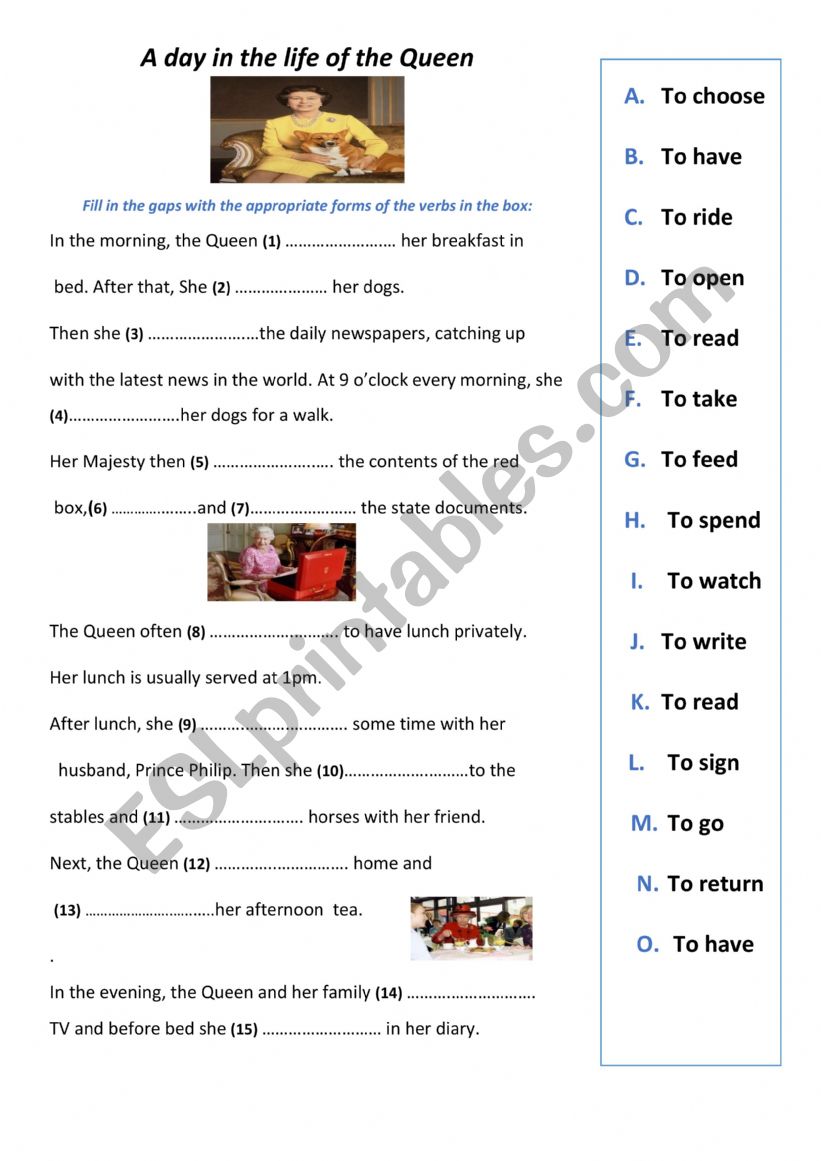 Daily routines  worksheet