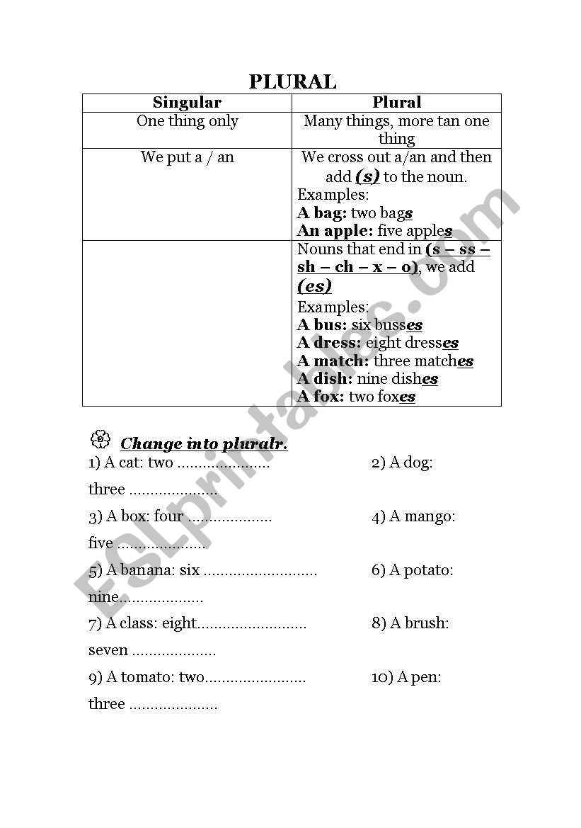 Plural worksheet