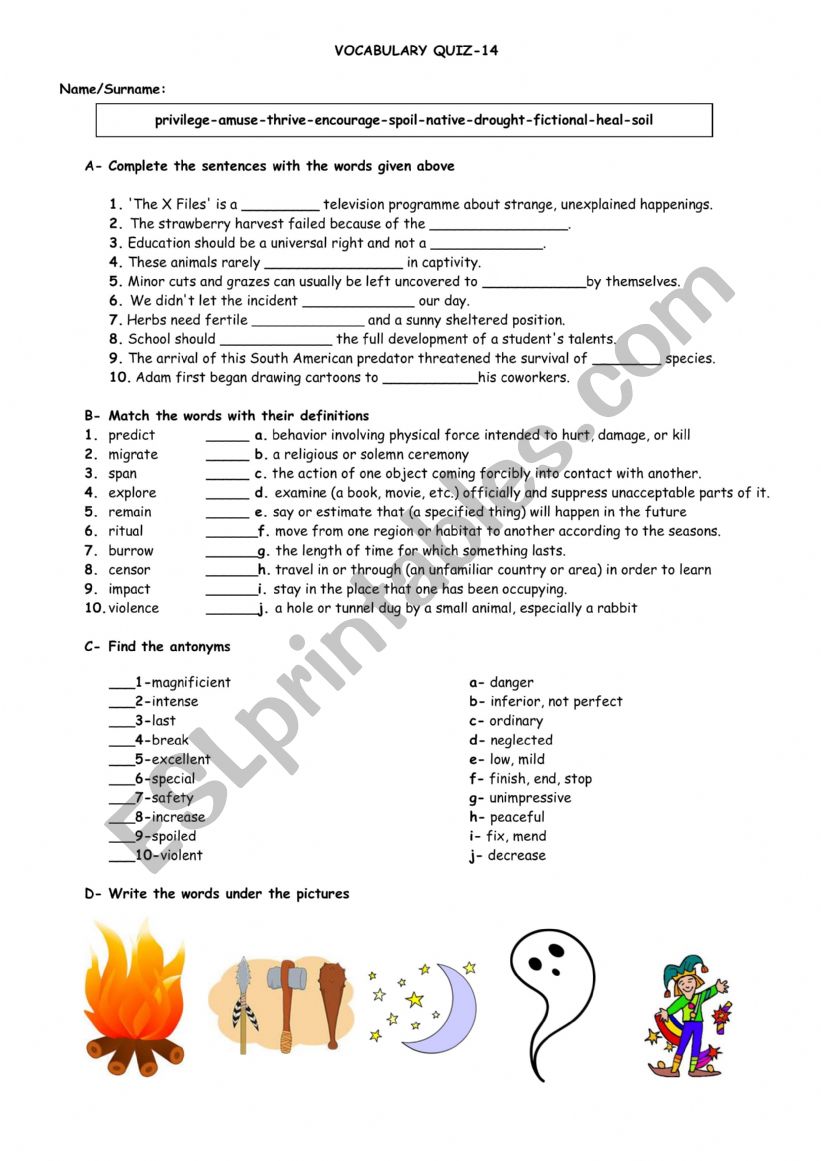 Vocabulary Quiz worksheet