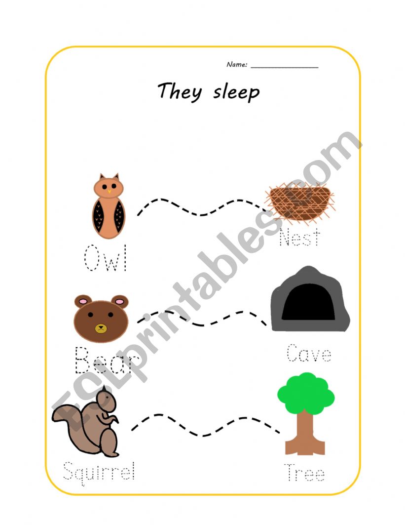 Hibernation tracing worksheet worksheet