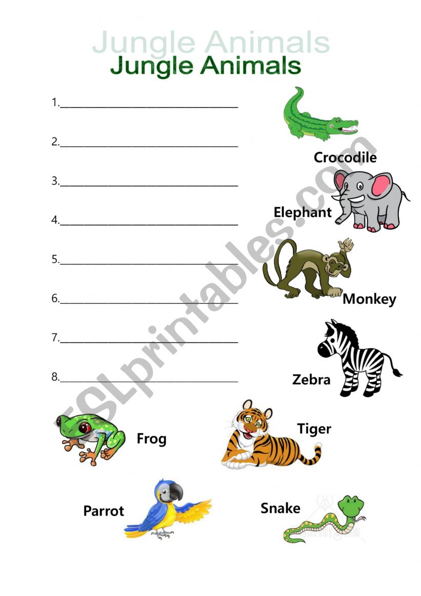 Jungle Animals worksheet