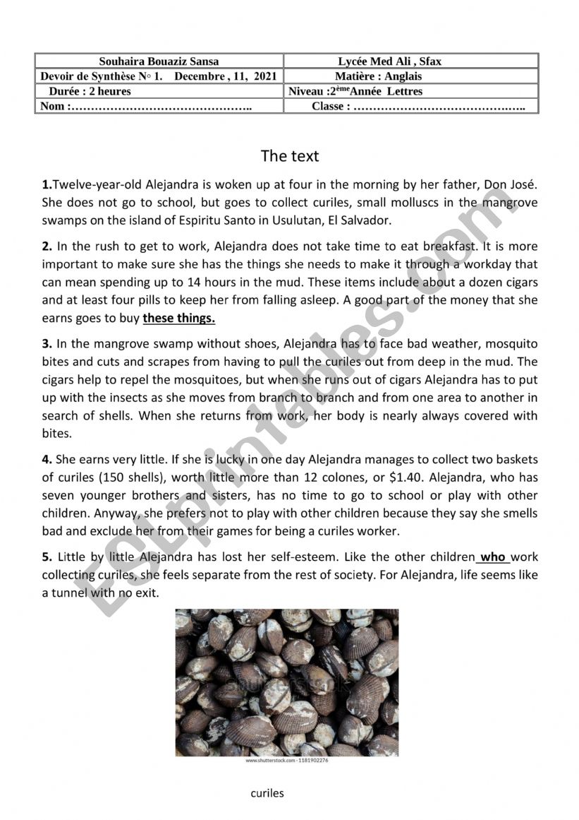 child labour worksheet