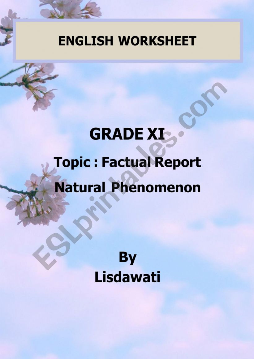 FACTUAL REPORT worksheet