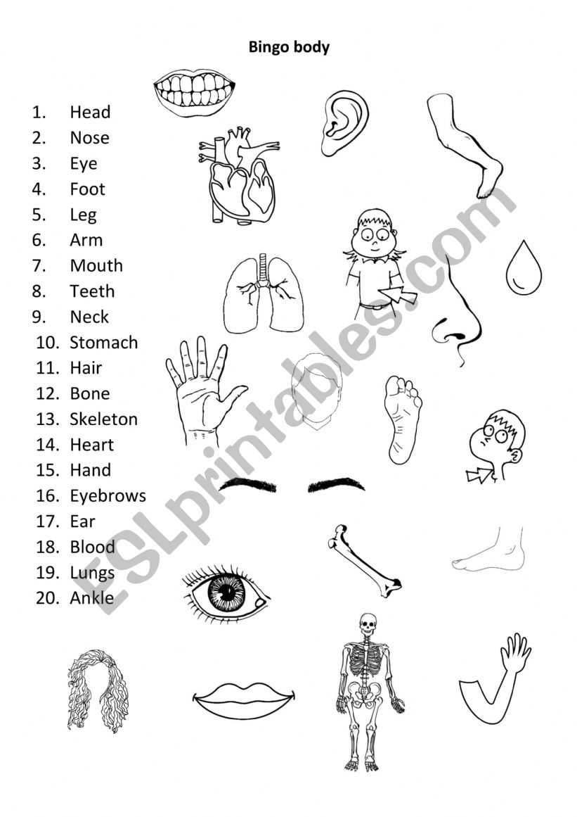 Body bingo worksheet