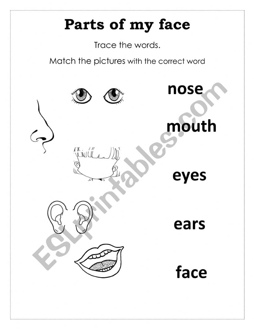 parts of my face worksheet