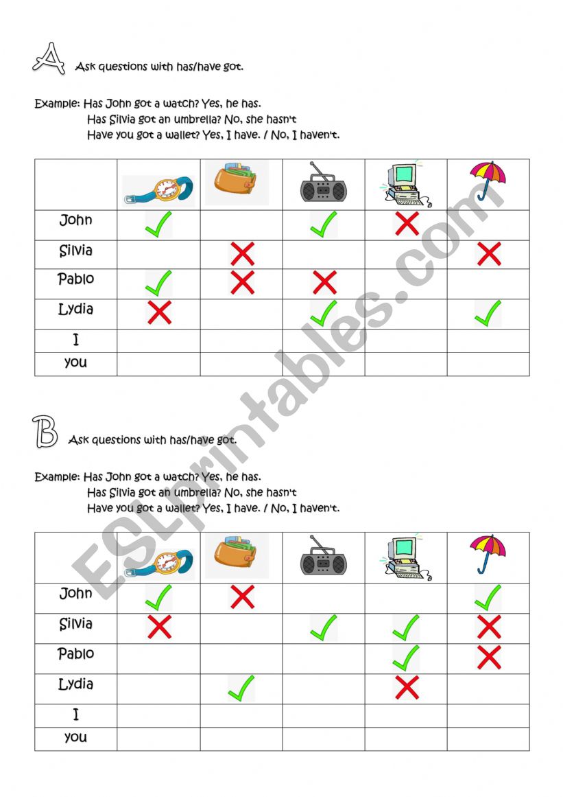 HAVE/HAS GOT (question form) worksheet