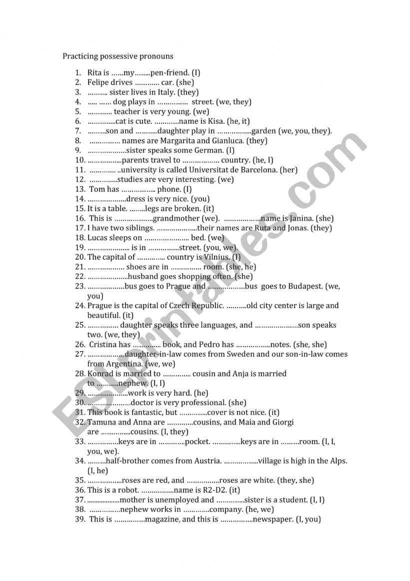 POSSESSIVE ADJECTIVES!  worksheet