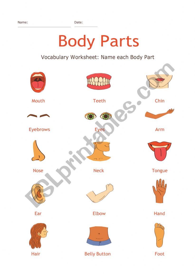 Vocabulary Learning Body Part worksheet