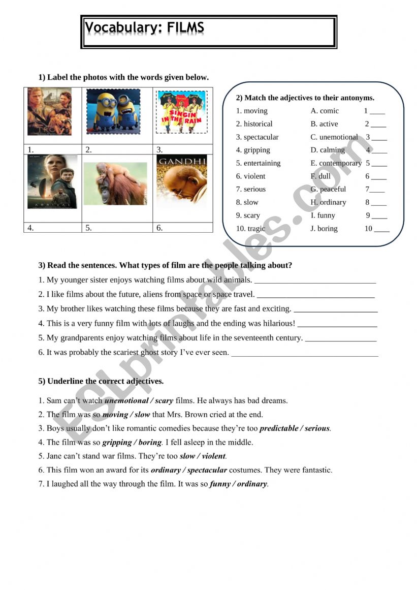 Type of fims worksheet