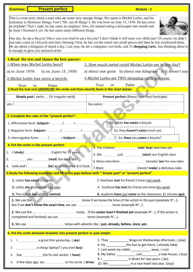 The present perfect  worksheet