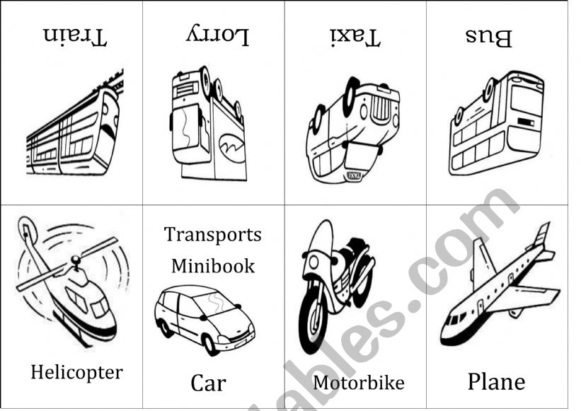 Transports minibook worksheet